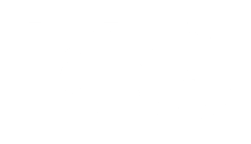 K9 